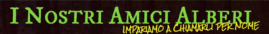 Logo Inostriamicialberi