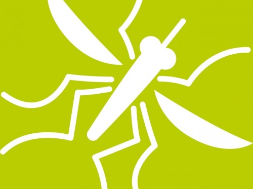 logo zanzara